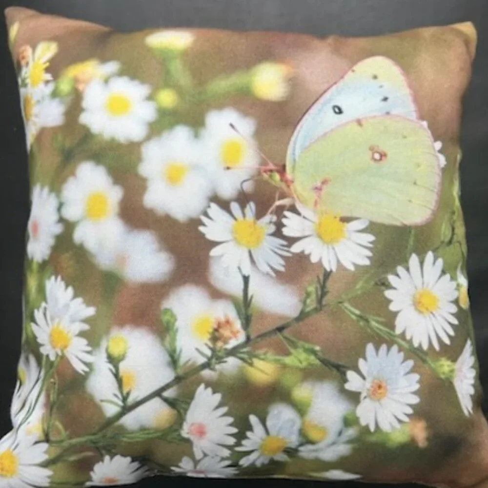 Butterfly Decorative Pilllow, Size 14x14